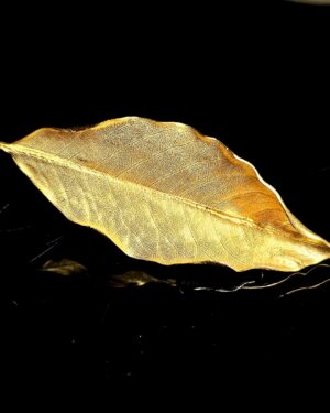 Broche Colgante Hoja de Magnolio